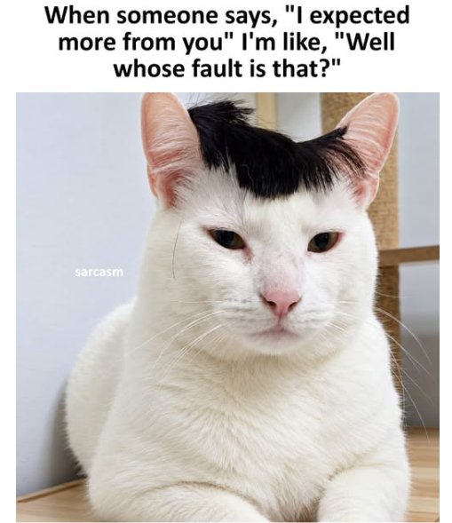 caturday fault majorgeeks.jpg